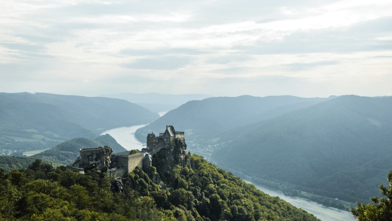 Luftaufnahme der Burgruine Aggstein auf einem bewaldeten Hügel mit Blick auf die Donau und umliegende Berge.