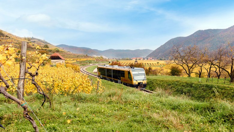 Die goldene Wachaubahn fährt durch eine herbstliche Landschaft mit Weinbergen und Hügeln im Hintergrund.