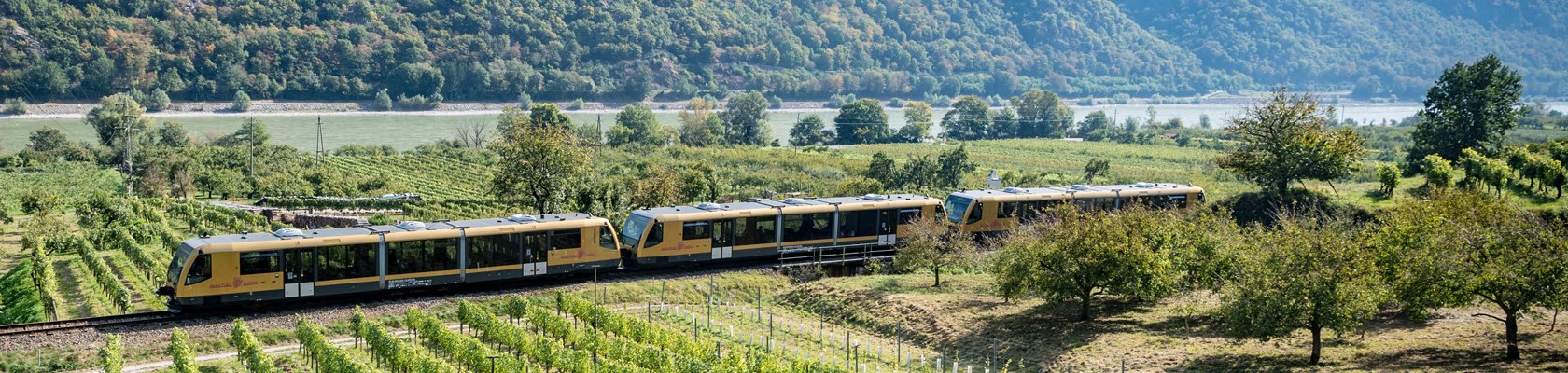 Wachaubahn fährt neben der Donau