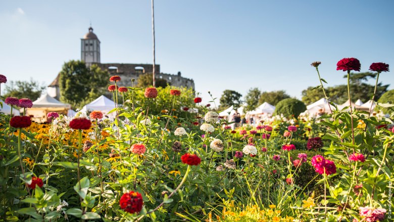 Blumen im Vordergrund mit einer Burg im Hintergrund bei sonnigem Wetter.
