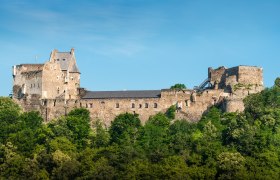 Ruine der Burg Aggstein auf einem bewaldeten H&uuml;gel vor blauem Himmel.