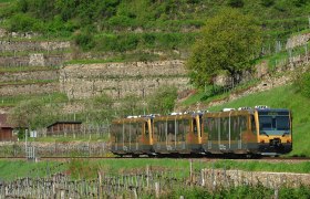 Wachaubahn fährt an Weingärten vorbei