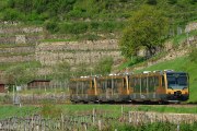 typische Wachauer Landschaften erkunden, © NB/knipserl.at