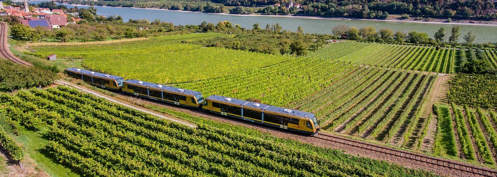 Wachaubahn fährt durch Weingärten entlang der Donau.