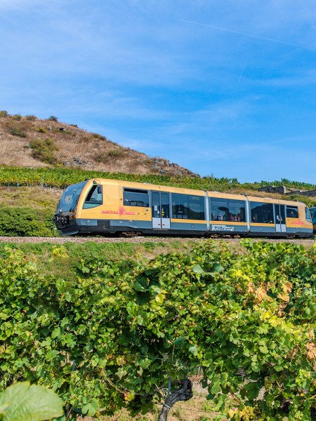 Die Wachaubahn führt durch Weingärten am Franzosendenkmal vorbei