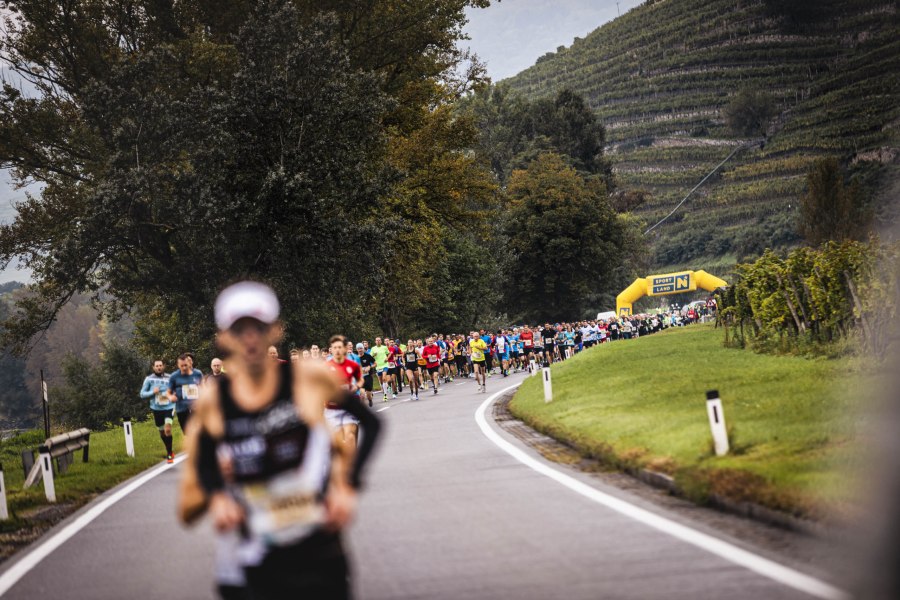 Läufer in Sportkleidung auf einer Landstraße, im Hintergrund weitere Teilnehmer und ein gelbes Start- oder Zielbogenbanner, umgeben von Weinbergen und Bäumen