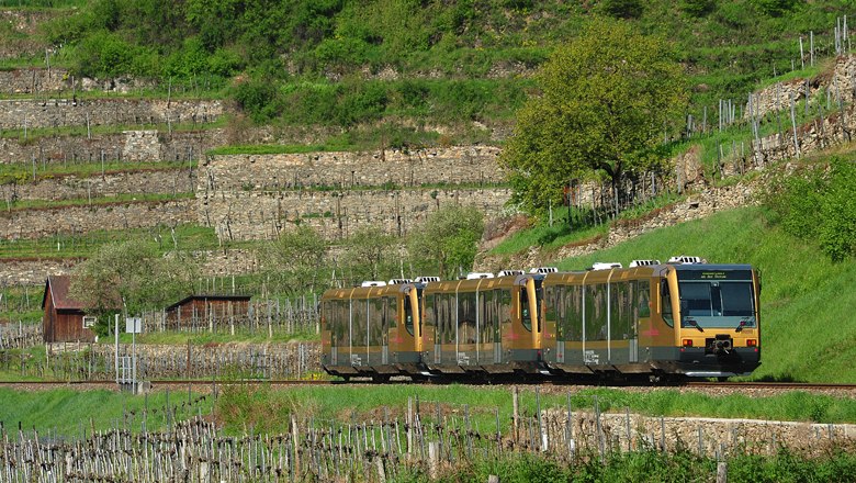 Wachaubahn fährt an Weingärten vorbei