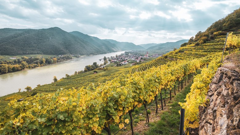 View of Wei&szlig;enkirchen, &copy; Dom&auml;ne Wachau