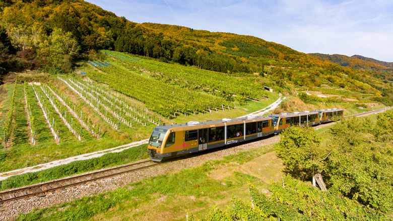 Wachaubahn fährt an Weingärten vorbei