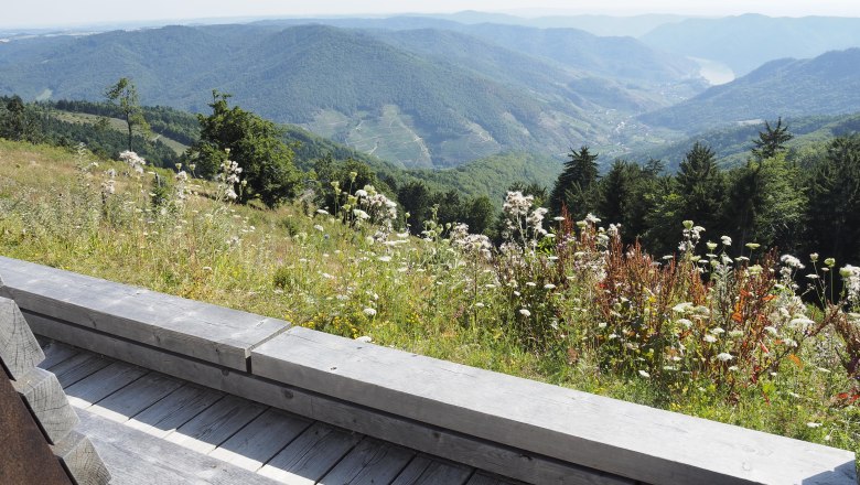 Aussicht von einem Holzdeck auf eine hügelige Landschaft mit Wiesen und Wäldern.
