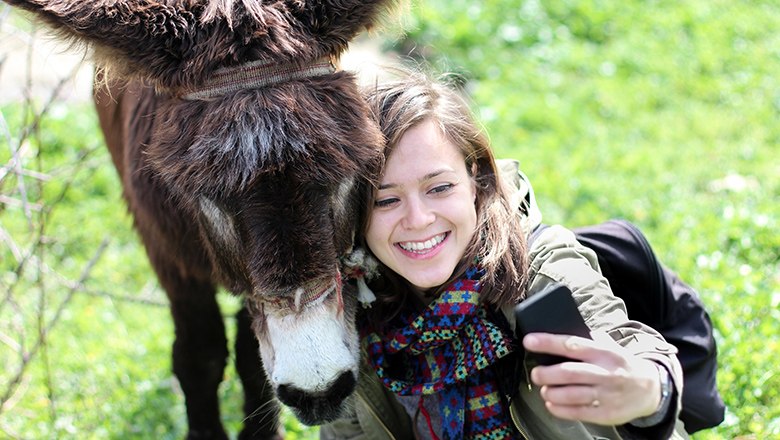 Frau macht Selfie mit Esel