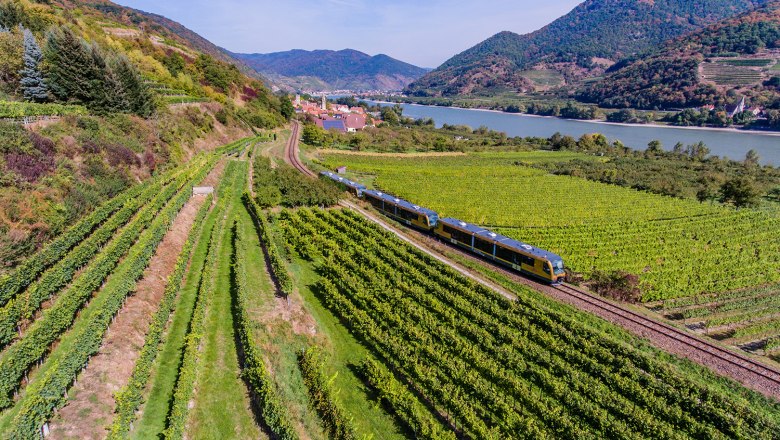 Zug der Wachaubahn