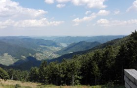 Panoramablick über bewaldete Hügel und ein Tal im Naturpark Jauerling, mit blauem Himmel und Wolken.