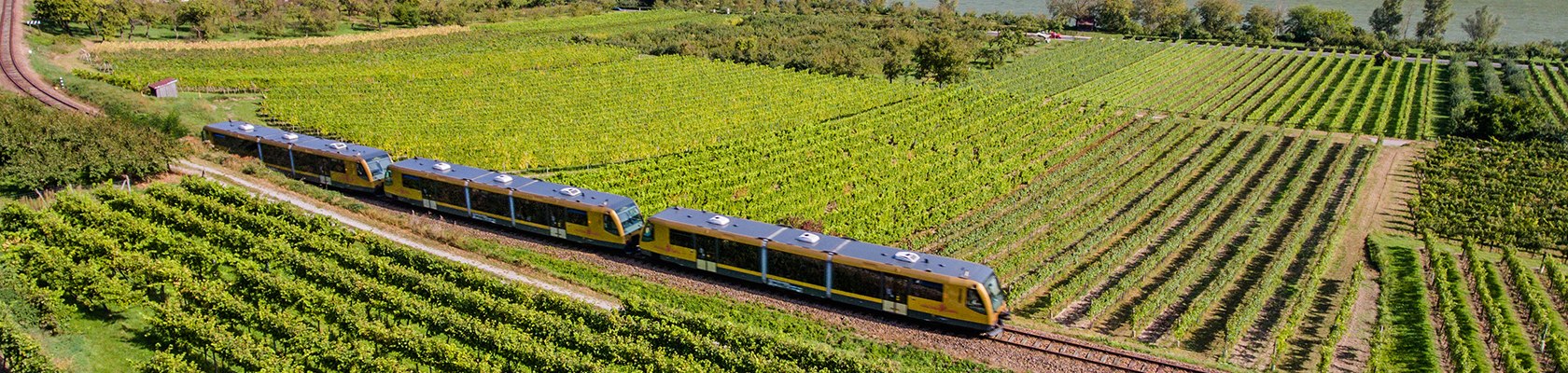 Panoramabild über Donau, Wachaubahn und Weingärten