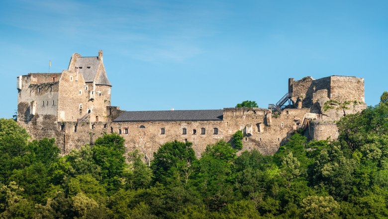 Ruine der Burg Aggstein auf einem bewaldeten Hügel vor blauem Himmel.