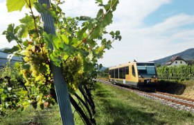 Weinfrühling(c)NÖVOG_weinfranz, © NÖVOG/weinfranz