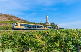 Die Wachaubahn führt durch Weingärten am Franzosendenkmal vorbei